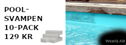   Poolsvampen